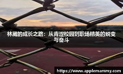 林葳的成长之路：从青涩校园到职场精英的蜕变与奋斗